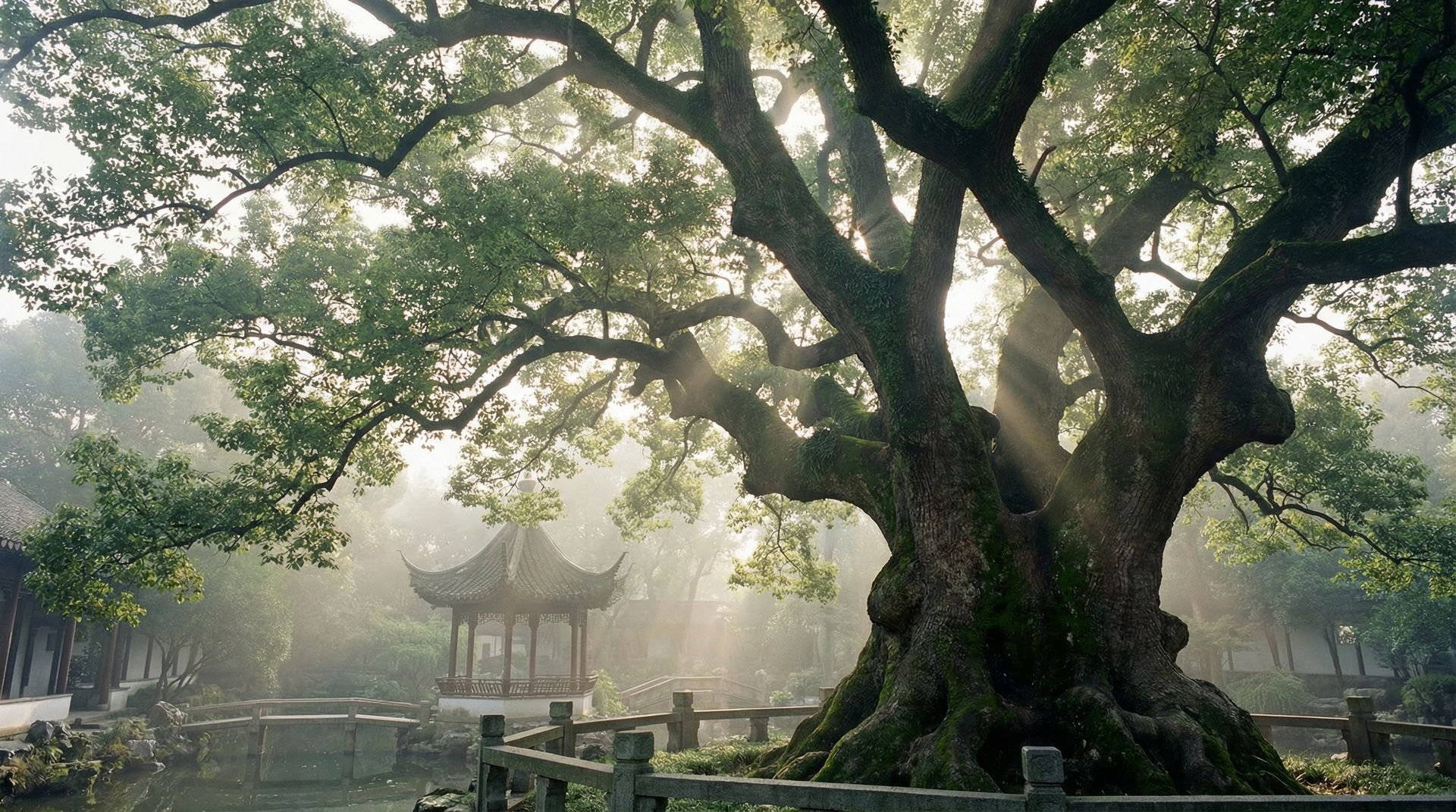 草莓视频樟树视频